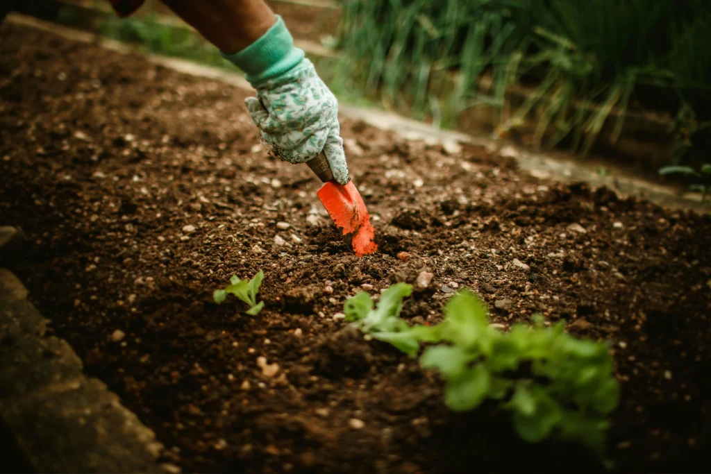 Gardening 101