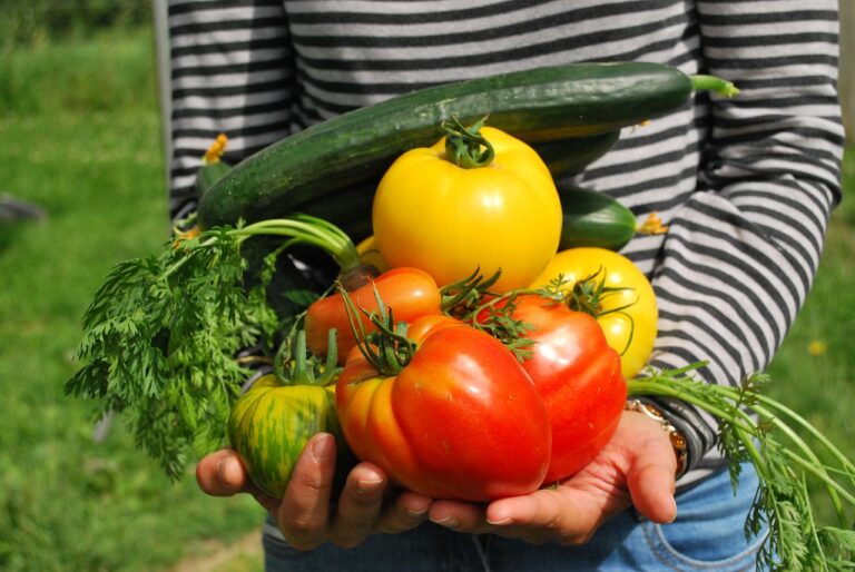 Indoor Vegetable Gardening